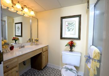 Bathroom with a large mirror and a toilet next to a sink at Ivy Hall Apartments*, Towson, MD 21204